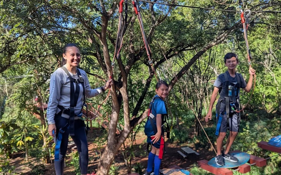 Adventure Course Access with 18 High-Elevation Elements and Safety Gear Provided Image 6