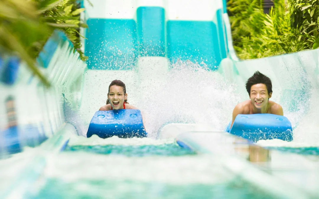 Adventure Cove Waterpark Express Pass Image 3