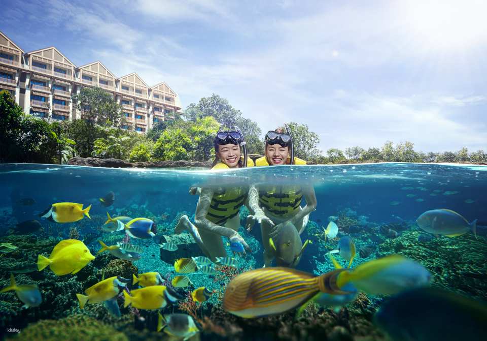 Adventure Cove Waterpark Ticket | Resorts World Sentosa, Singapore