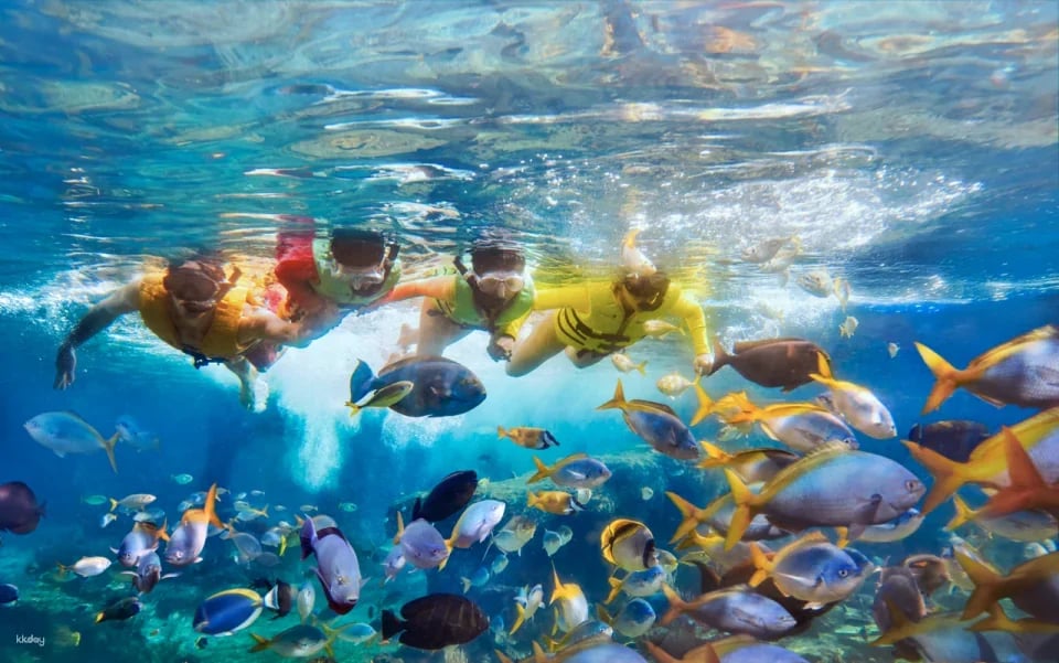 Adventure Cove Waterpark Ticket | Resorts World Sentosa, Singapore