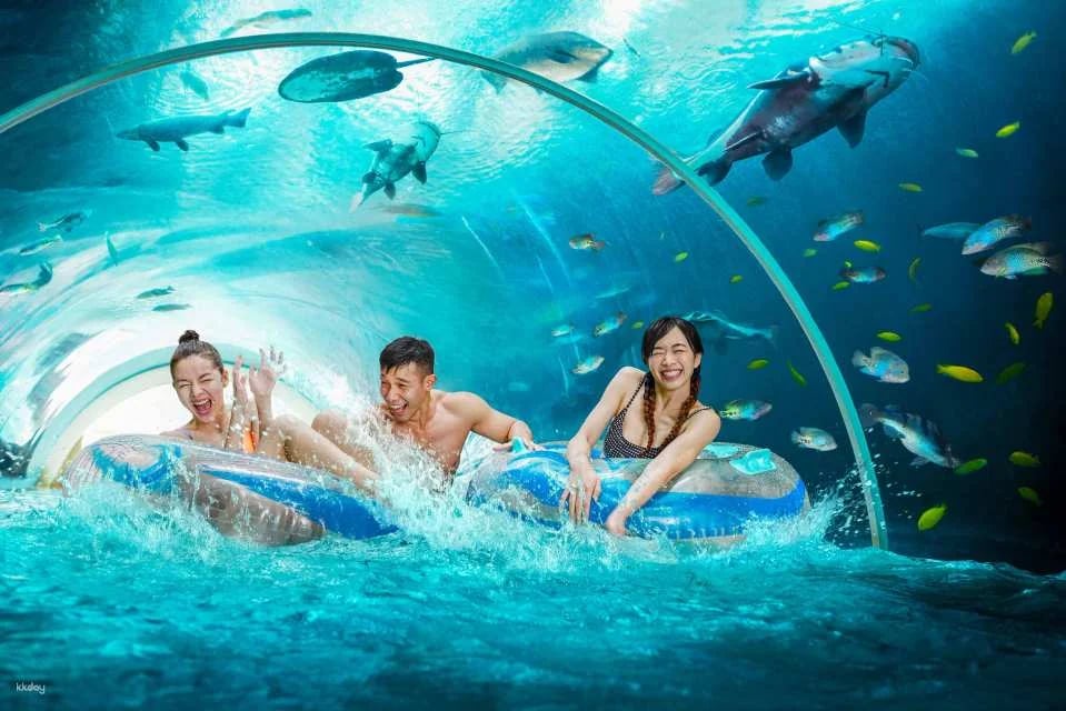 Adventure Cove Waterpark Ticket | Resorts World Sentosa, Singapore