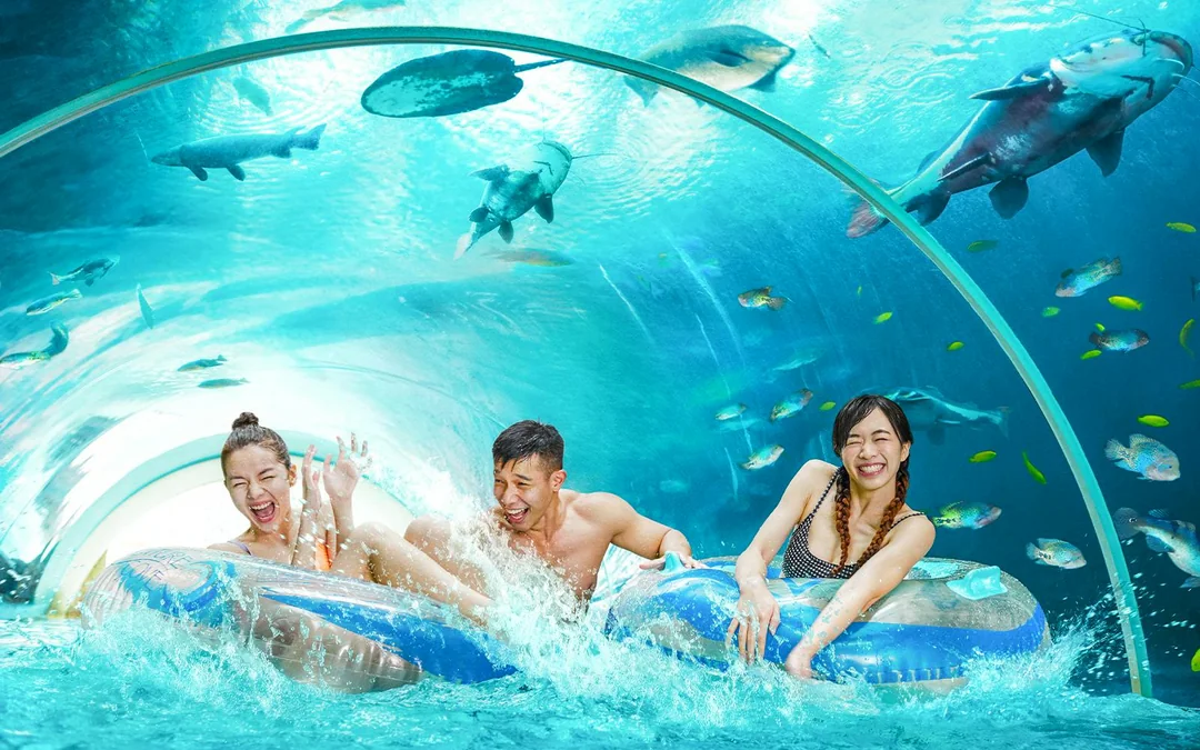 Adventure Cove Waterpark Tickets Image 3