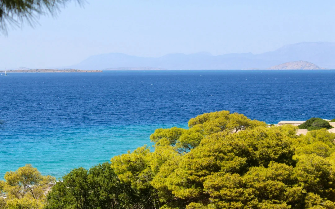 Aegina Island Small-Group Day Trip Image 5