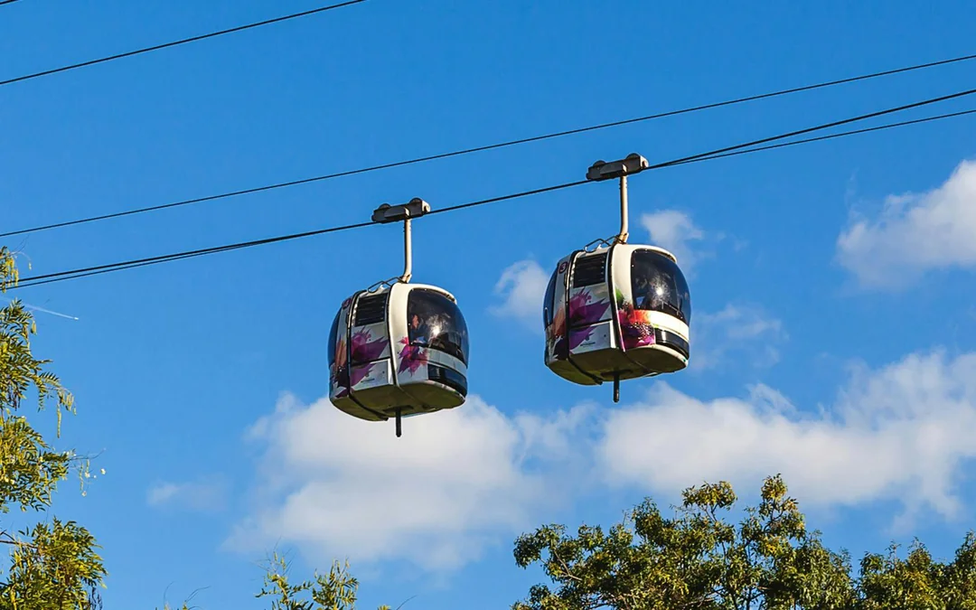 Afternoon Cruise in Bosphorus Strait with Cable Car to Pierre Loti Hill Image 4