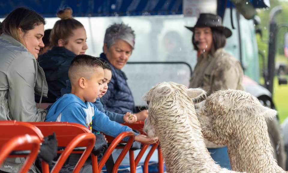 Agrodome Farm Show + Farm Tour Experience | New Zealand