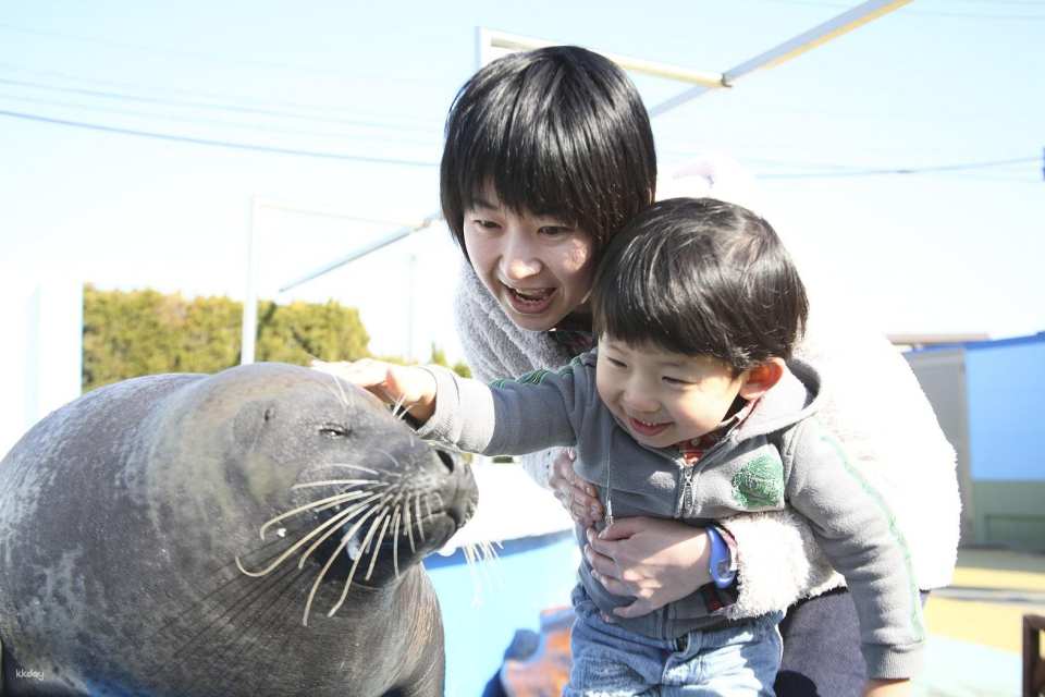 Aichi, Japan | Minamichita Beach Park & ​​Toy Kingdom Common Admission Ticket