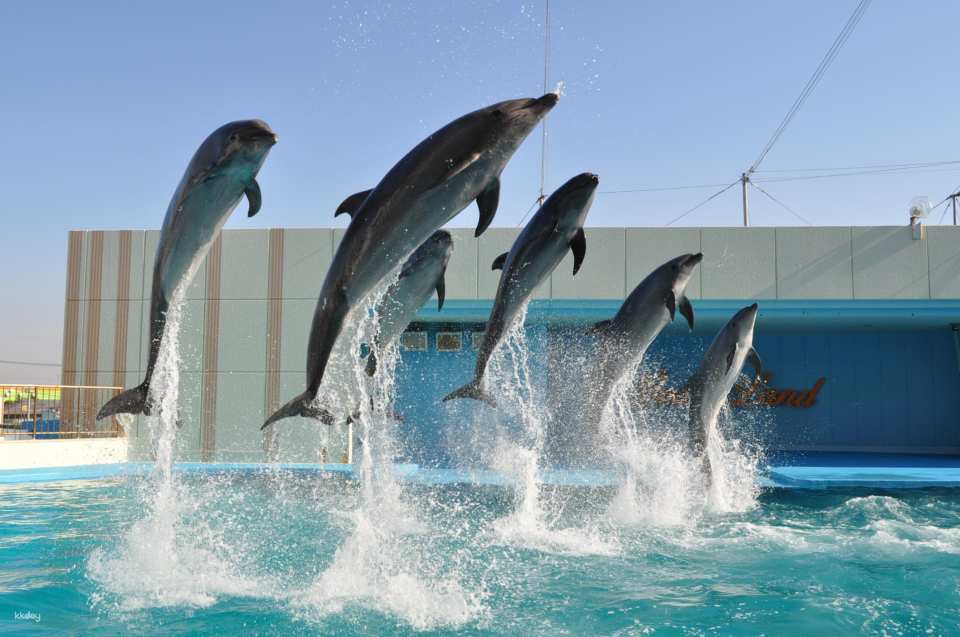 Aichi, Japan | Minamichita Beach Park & ​​Toy Kingdom Common Admission Ticket