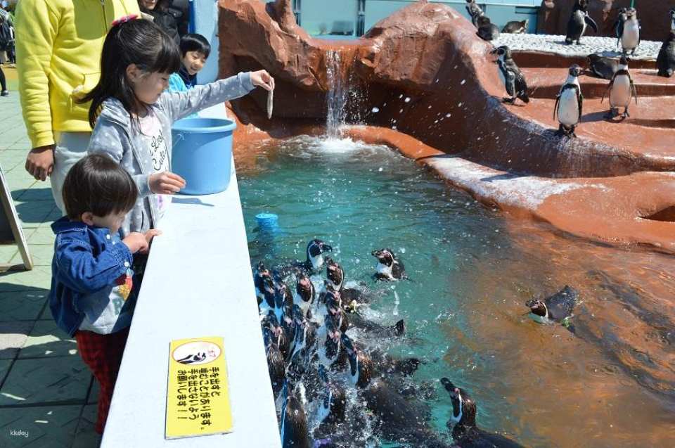 Aichi, Japan | Minamichita Beach Park & ​​Toy Kingdom Common Admission Ticket