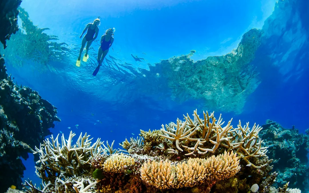 Airlie Beach: Outer Great Barrier Reef & Whitehaven Beach Snorkel Tour Image 2