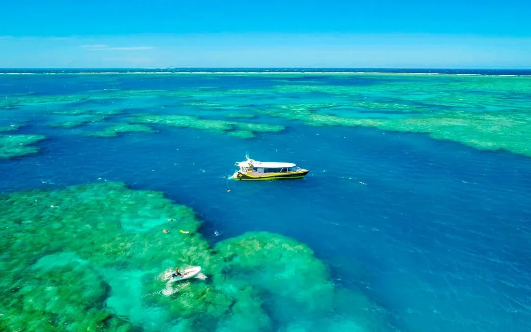Airlie Beach: Outer Great Barrier Reef & Whitehaven Beach Snorkel Tour Image 3