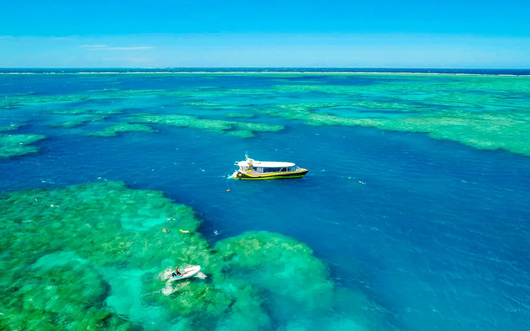 Airlie Beach: Outer Great Barrier Reef & Whitehaven Beach Snorkel Tour Image 3