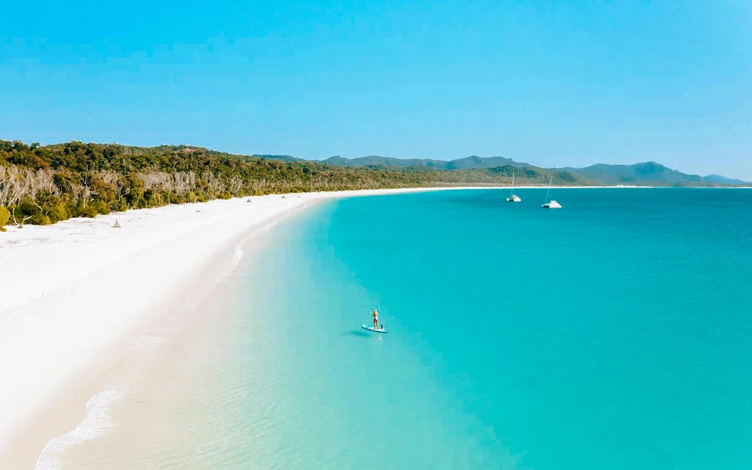 Airlie Beach: Outer Great Barrier Reef & Whitehaven Beach Snorkel Tour Image 9