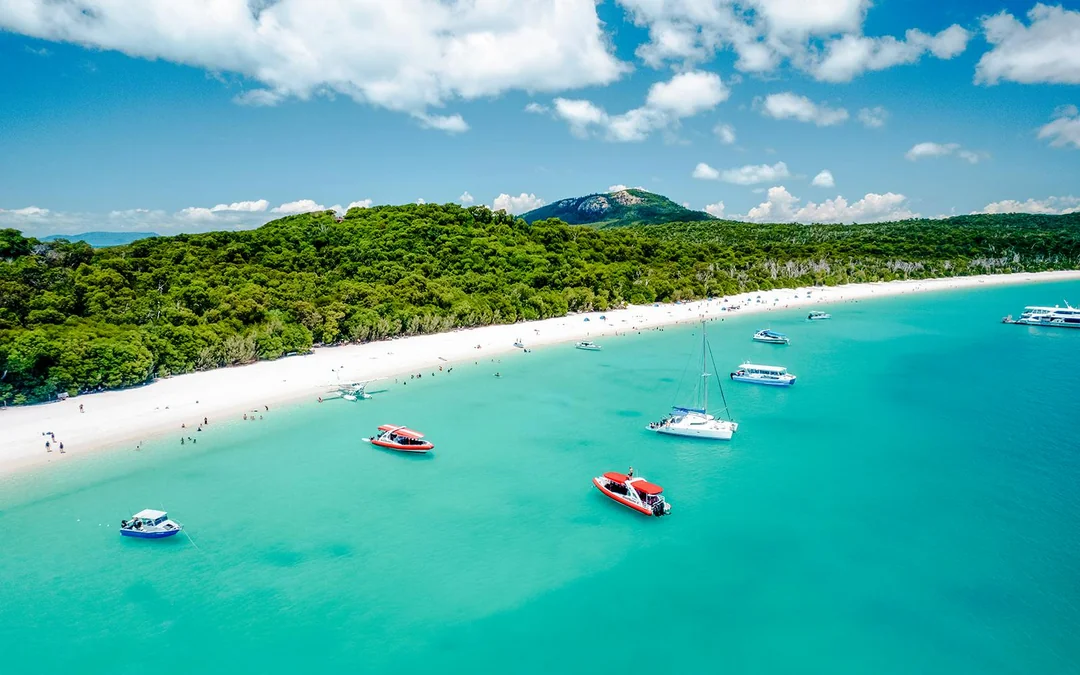Airlie Beach: Whitehaven Beach Premium Cruise with Lunch & Activity Upgrades Image 2