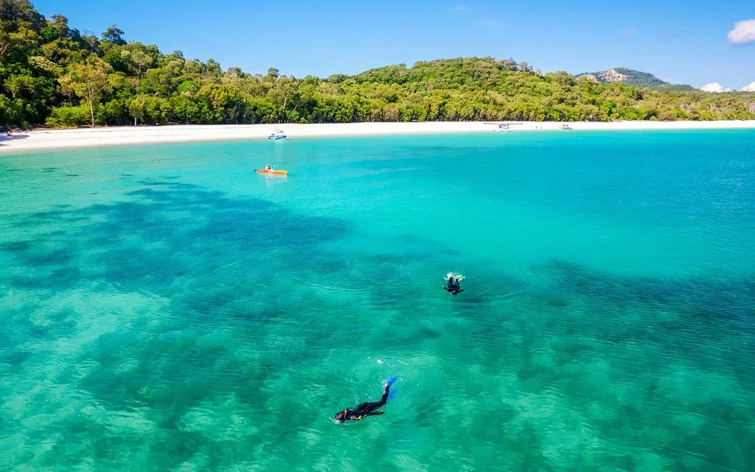 Airlie Beach: Whitehaven Beach Premium Cruise with Lunch & Activity Upgrades Image 10
