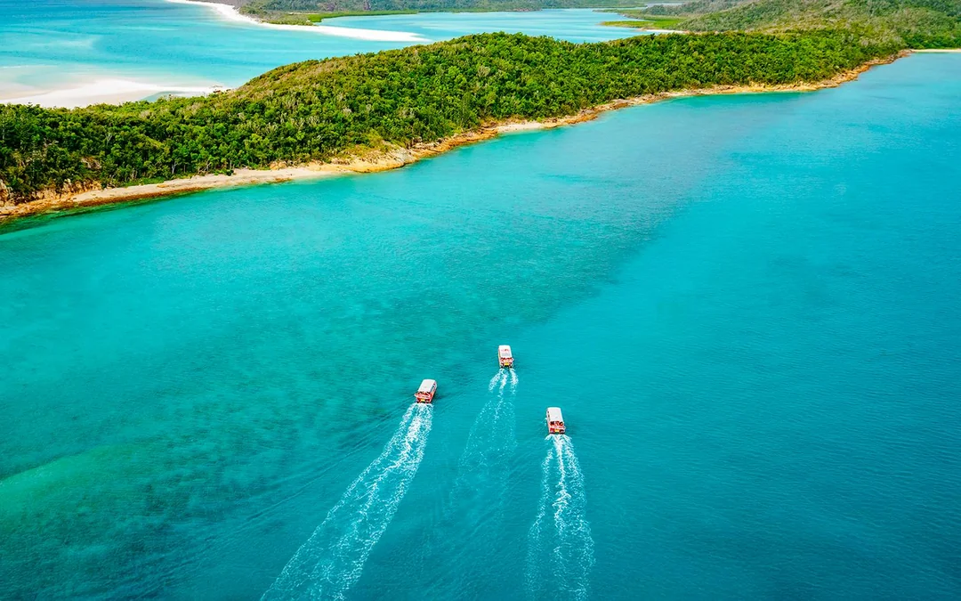 Airlie Beach: Whitehaven Beach Snorkel Cruise with Hill Inlet Tour and Buffet Lunch Image 11