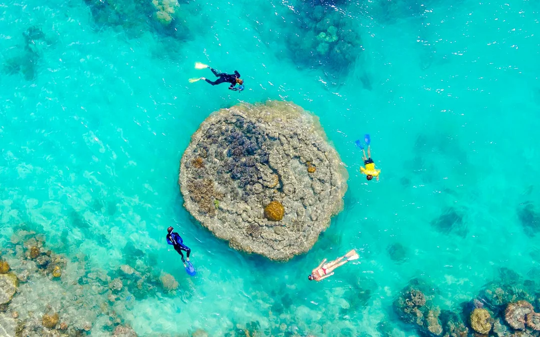 Airlie Beach: Whitsundays Snorkel and Hill Inlet Tour with Hotel Transfers Image 3