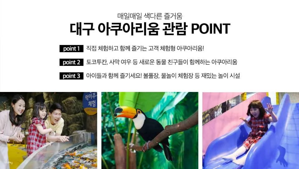 [Ticket Available for Use After 1 Hour of Purchase] Alive Aquarium Daegu Ticket | South Korea