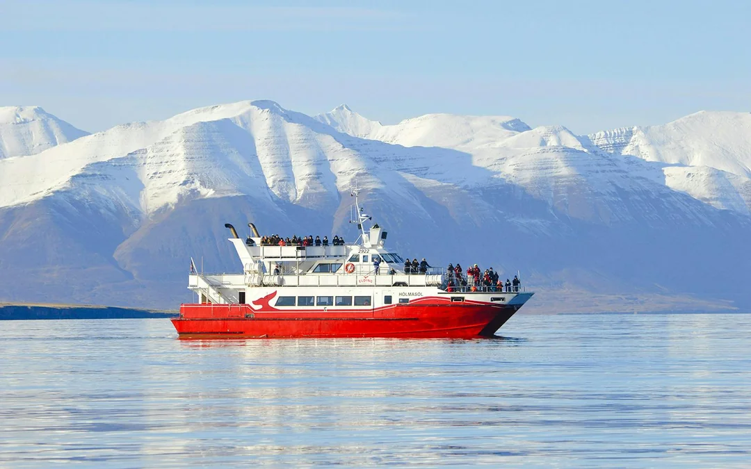Akureyri: 3-Hour Classic Whale Watching Tour by Ship Image 4