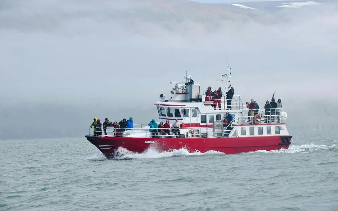 Akureyri: 3-Hour Classic Whale Watching Tour by Ship Image 9