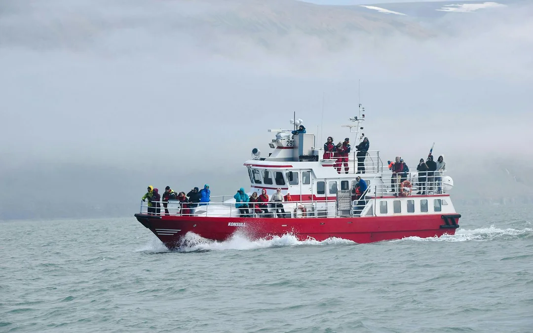 Akureyri: 3-Hour Classic Whale Watching Tour by Ship Image 9