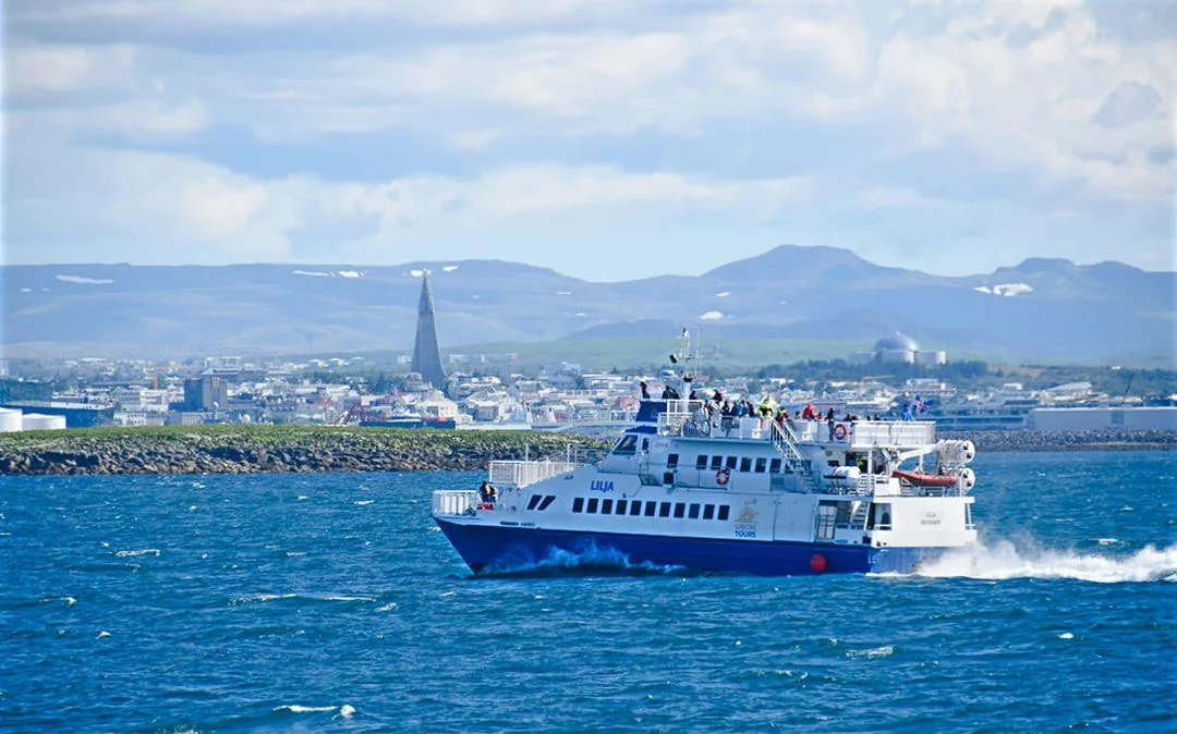 Akureyri: Whale Watching Boat Tour Image 2