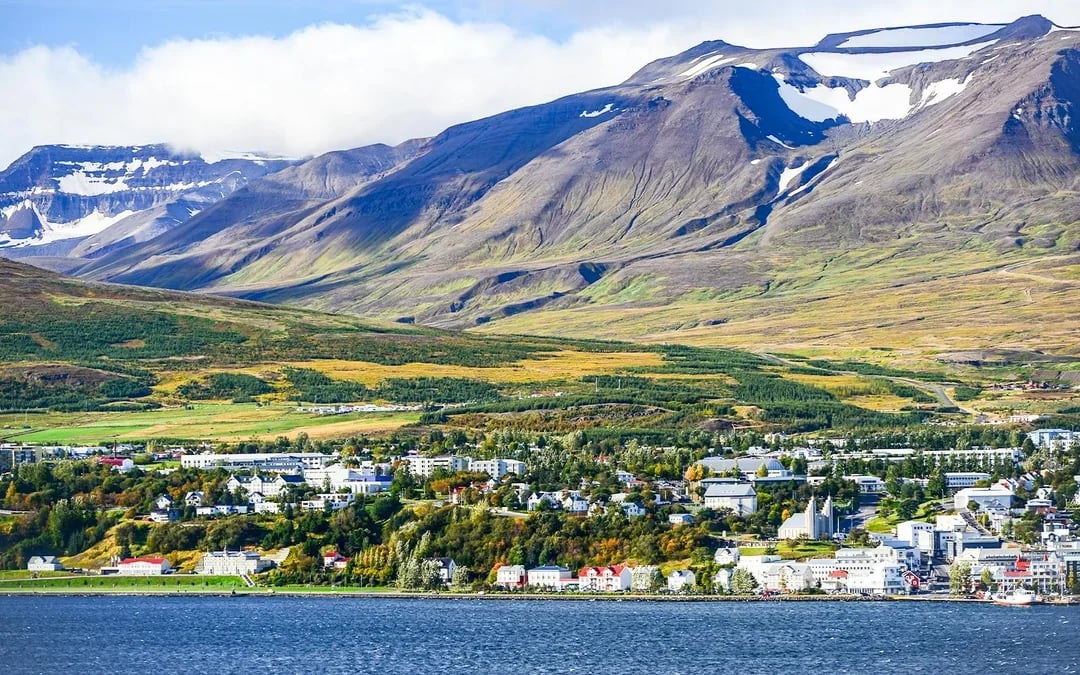 Akureyri: Whale Watching Boat Tour Image 8