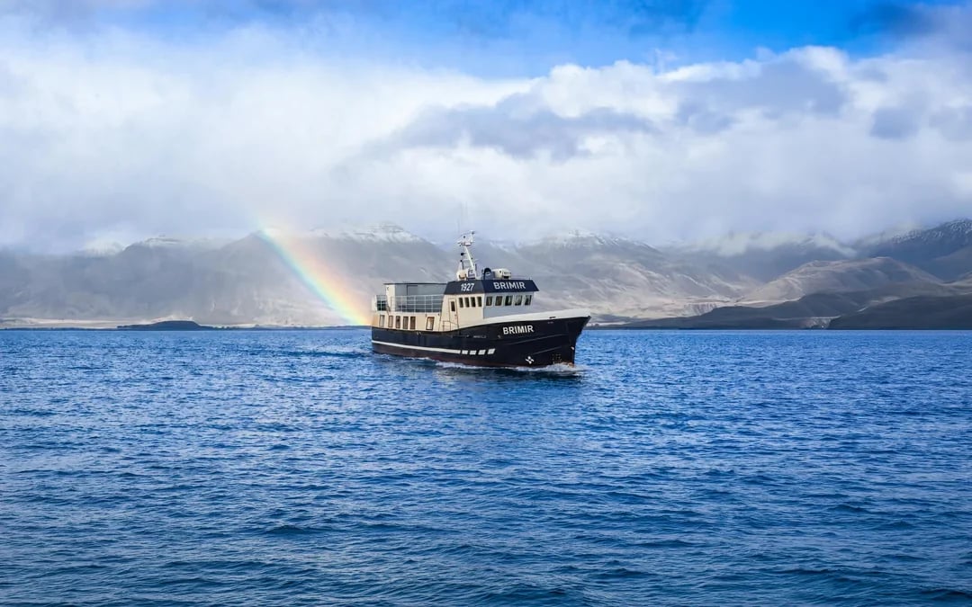 Akureyri: Whale Watching Small Group Boat Tour Image 1