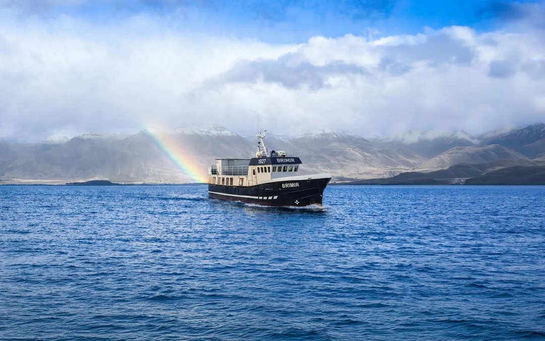 Akureyri: Whale Watching Small Group Boat Tour Image 1