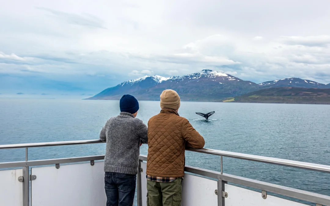 Akureyri: Whale Watching Small Group Boat Tour Image 4