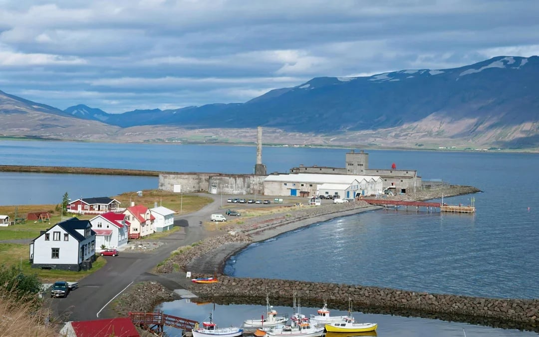 Akureyri: Whale Watching Small Group Boat Tour Image 6