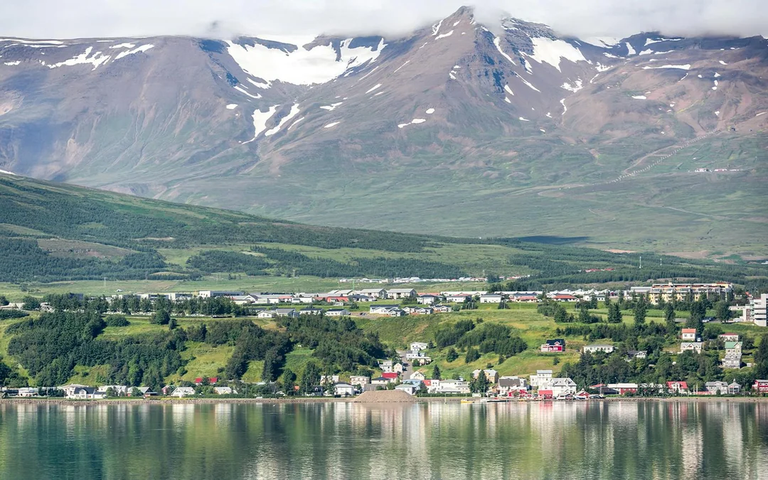 Akureyri: Whale Watching Tour on RIB Speedboat Image 5