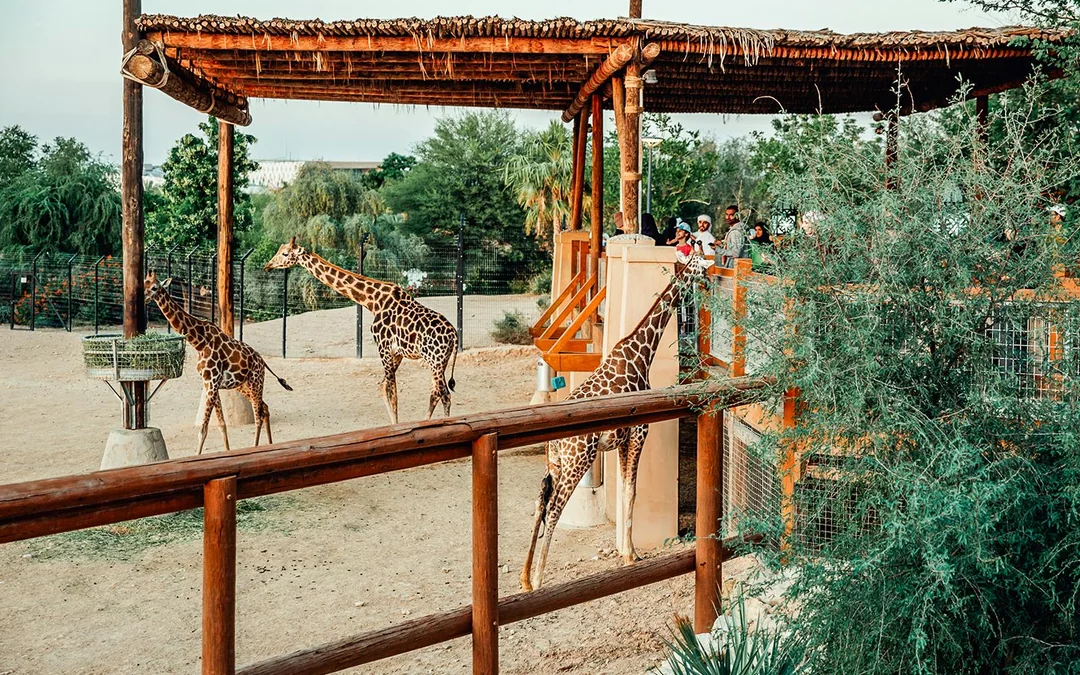 Al Ain Zoo Tickets Image 12