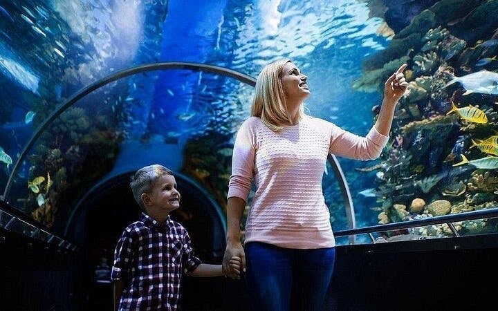 Alanya Aquarium and Fun Park Tour All Inclusive with Hotel Pickup Image 2