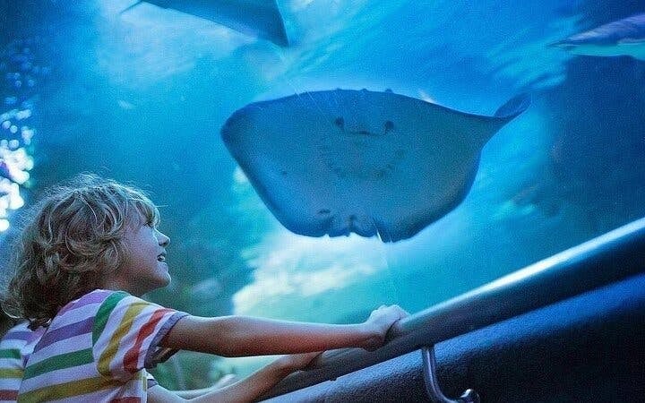 Alanya Aquarium and Fun Park Tour All Inclusive with Hotel Pickup Image 3
