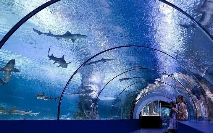 Alanya Aquarium and Fun Park Tour All Inclusive with Hotel Pickup Image 5