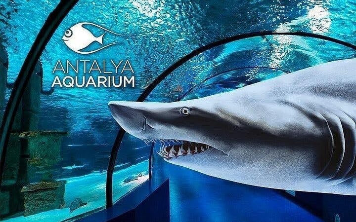 Alanya Aquarium and Fun Park Tour All Inclusive with Hotel Pickup Image 6