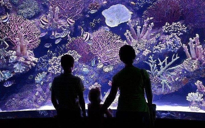 Alanya Aquarium and Fun Park Tour All Inclusive with Hotel Pickup Image 7