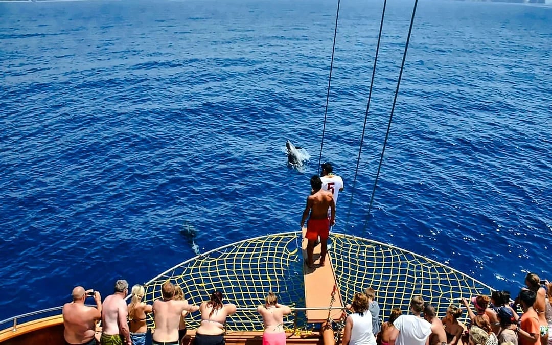 Alanya Catamaran Cruise with BBQ Lunch, Soft Drinks & Round-Trip Hotel Transfers Image 6