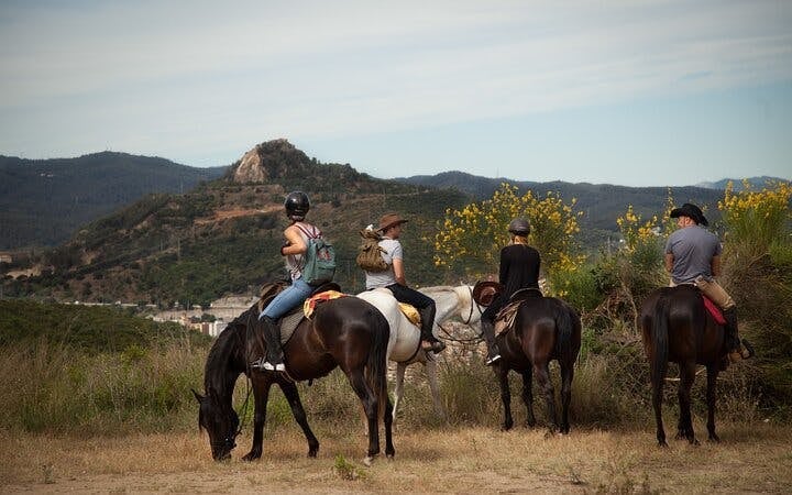 Alanya Horse Riding Experience Image 1