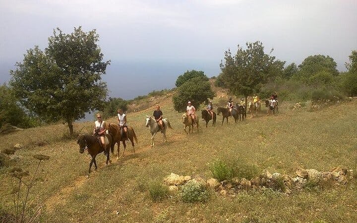 Alanya Horse Riding Experience Image 3