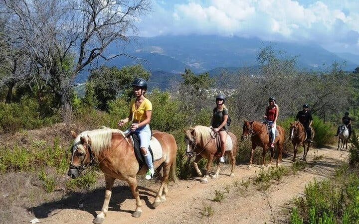 Alanya Horse Riding Experience Image 4