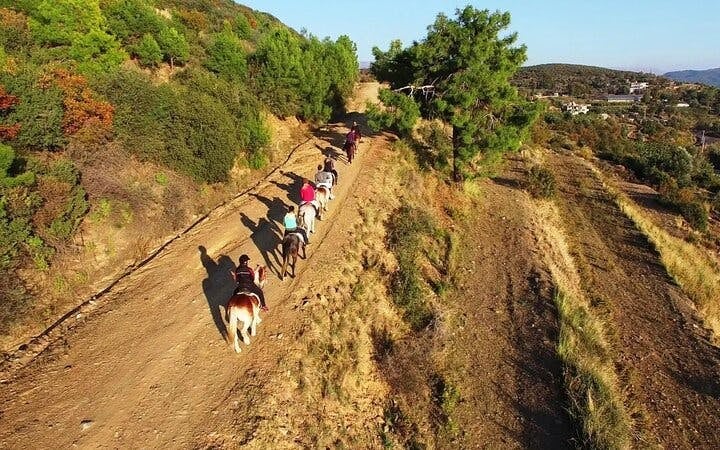 Alanya Horse Riding Experience Image 5