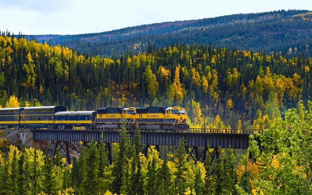 Alaska Railroad: Denali to/from Fairbanks One Way & Round Trip Train Tickets Image 1