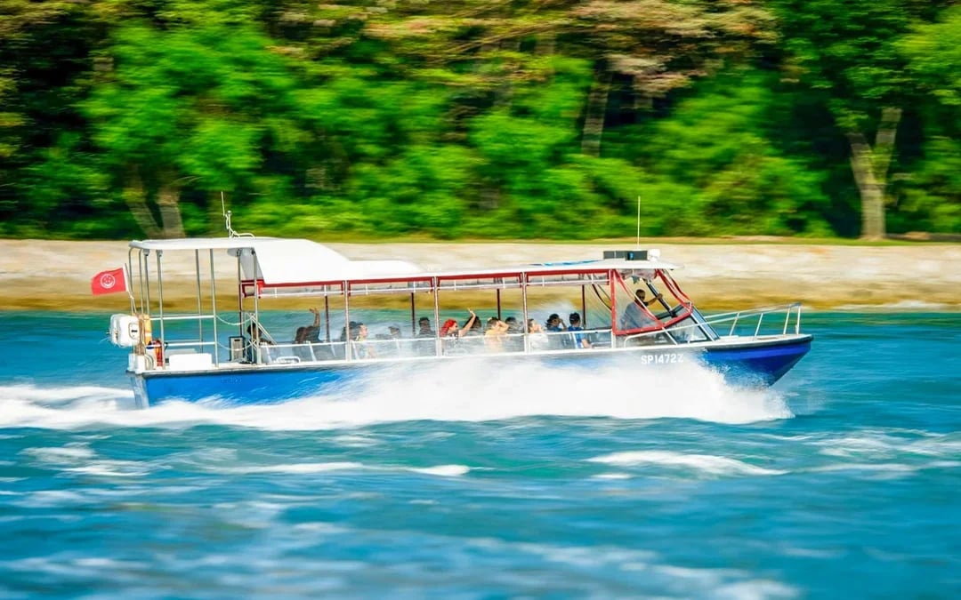 Albatross Hop-On Hop-Off Speedboat Pass Image 8
