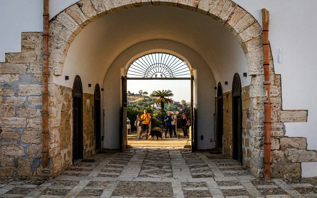 Alcamo Farm-to-Table Guided Organic Wine Tasting with 4-Course Meal Image 2