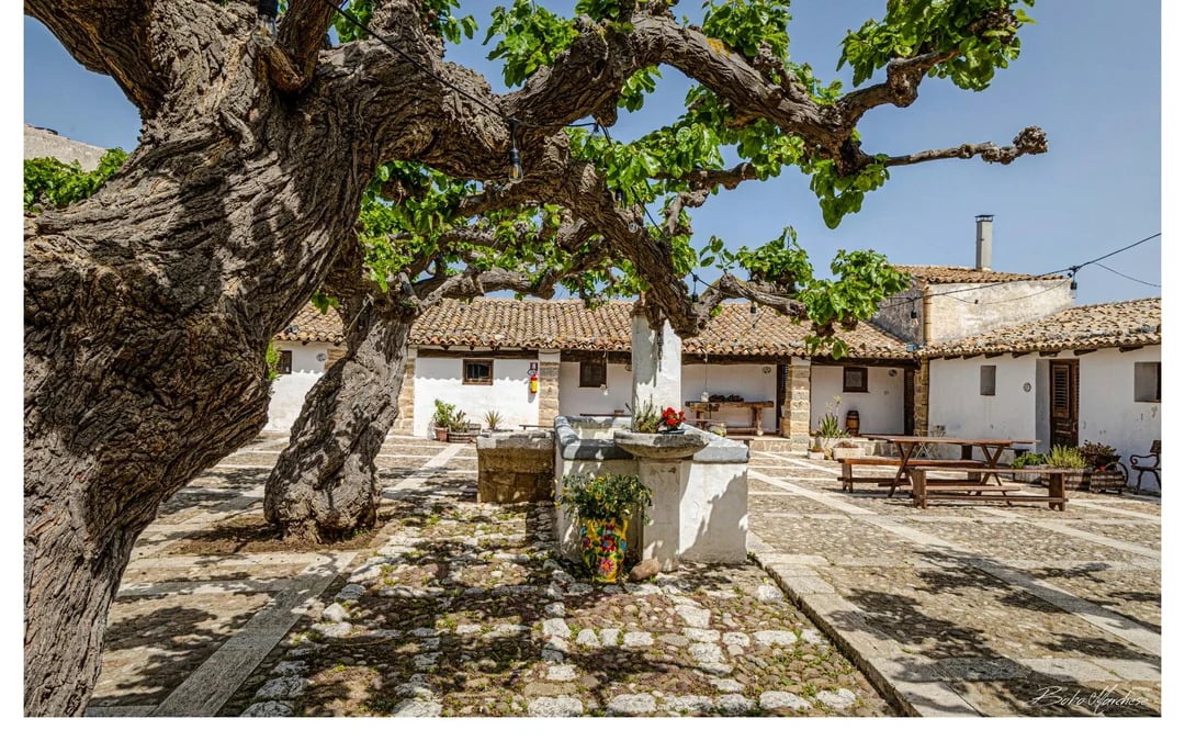 Alcamo Farm-to-Table Guided Organic Wine Tasting with 4-Course Meal Image 3