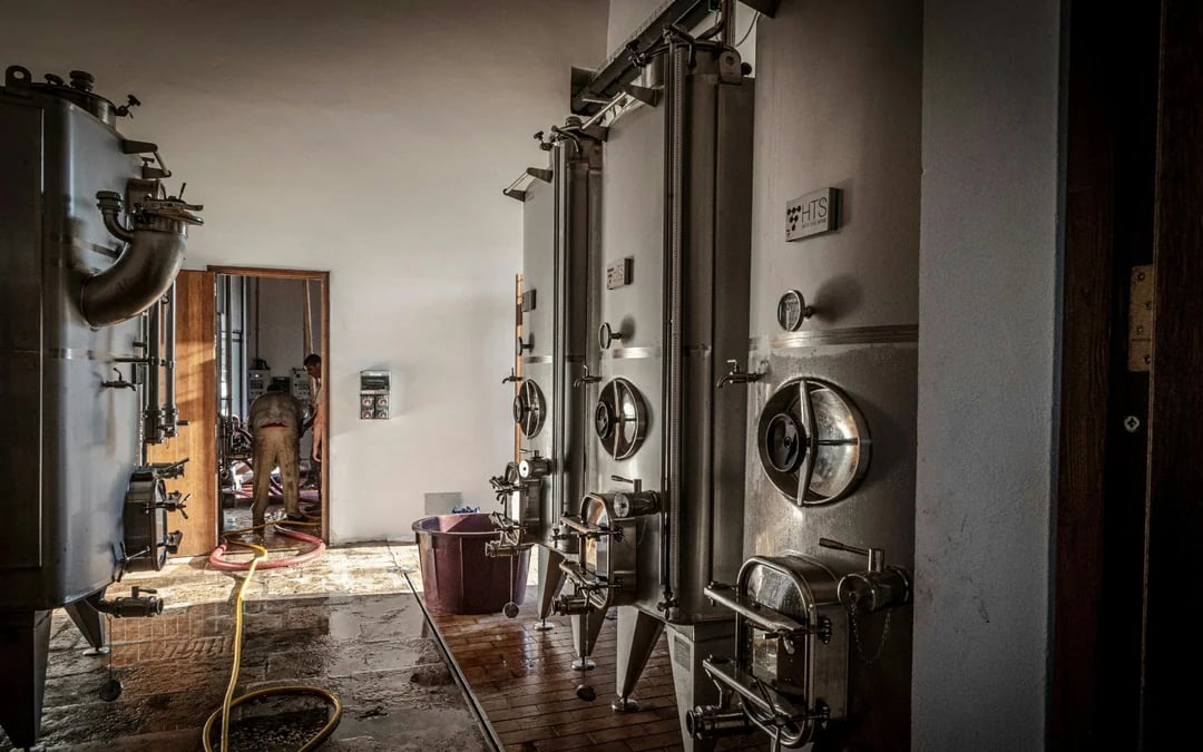 Alcamo Farm-to-Table Guided Organic Wine Tasting with 4-Course Meal Image 4