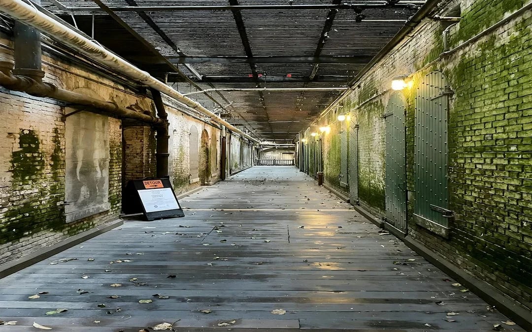 Alcatraz Day Tour Image 4