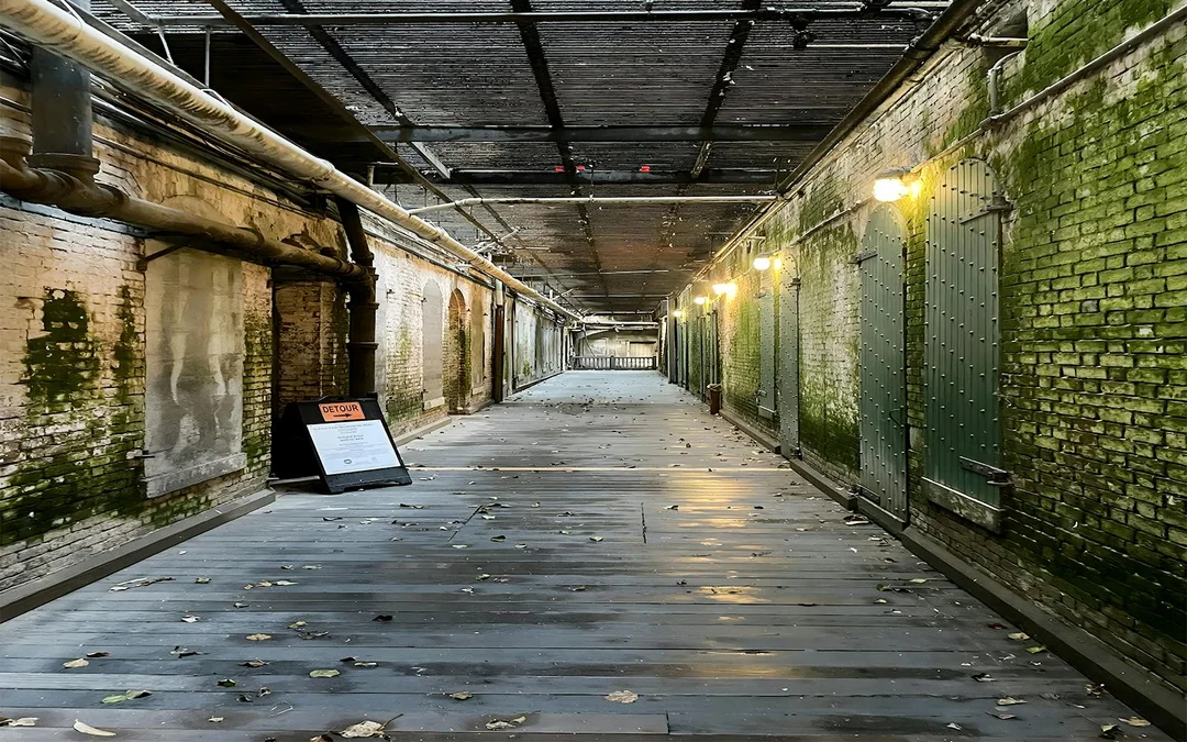 Alcatraz Day Tour Image 4