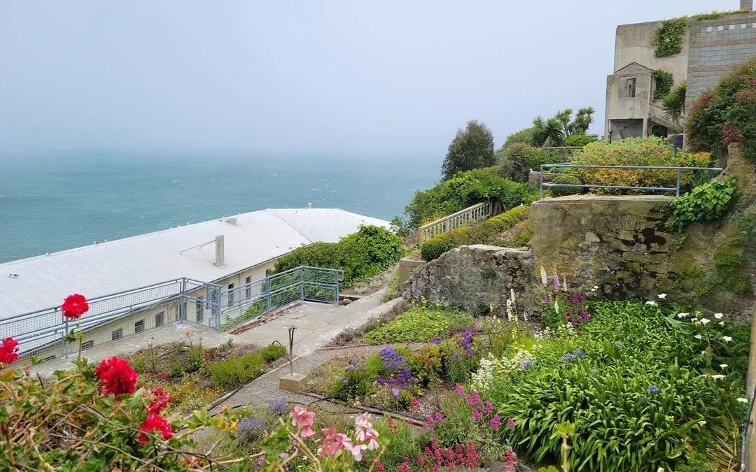Alcatraz Day Tour Image 5